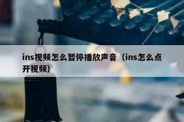 ins视频怎么暂停播放声音(ins怎么点开视频) 第1张 ins视频怎么暂停播放声音(ins怎么点开视频) 第1张