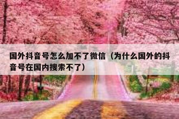 国外抖音号怎么加不了微信(为什么国外的抖音号在国内搜索不了) 第1张 国外抖音号怎么加不了微信(为什么国外的抖音号在国内搜索不了) 第1张