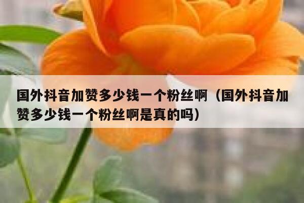 国外抖音加赞多少钱一个粉丝啊(国外抖音加赞多少钱一个粉丝啊是真的吗) 第1张 国外抖音加赞多少钱一个粉丝啊(国外抖音加赞多少钱一个粉丝啊是真的吗) 第1张