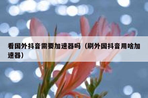 看国外抖音需要加速器吗(刷外国抖音用啥加速器) 第1张 看国外抖音需要加速器吗(刷外国抖音用啥加速器) 第1张