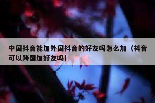 中国抖音能加外国抖音的好友吗怎么加(抖音可以跨国加好友吗) 第1张 中国抖音能加外国抖音的好友吗怎么加(抖音可以跨国加好友吗) 第1张