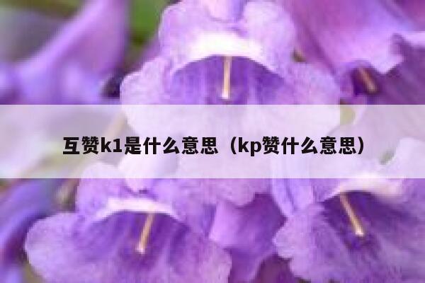 互赞k1是什么意思(kp赞什么意思) 第1张 互赞k1是什么意思(kp赞什么意思) 第1张
