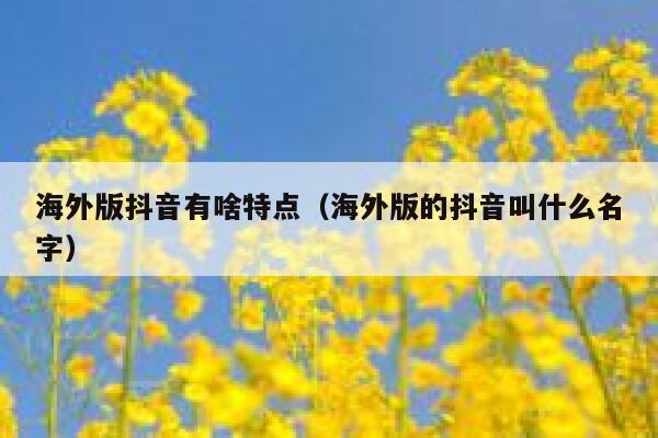 海外版抖音有啥特点(海外版的抖音叫什么名字) 第1张 海外版抖音有啥特点(海外版的抖音叫什么名字) 第1张