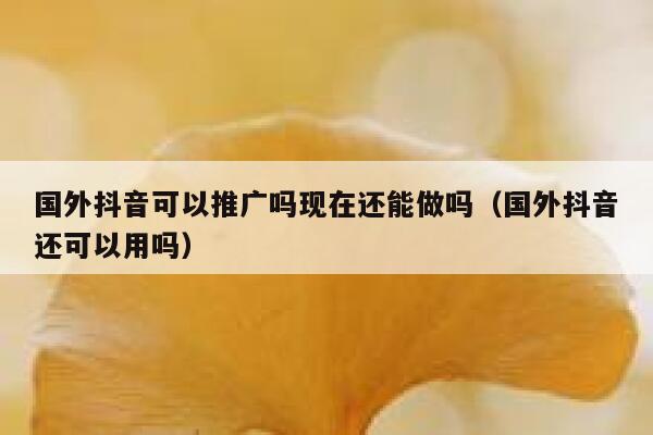 国外抖音可以推广吗现在还能做吗(国外抖音还可以用吗) 第1张 国外抖音可以推广吗现在还能做吗(国外抖音还可以用吗) 第1张