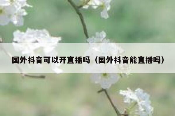 国外抖音可以开直播吗(国外抖音能直播吗) 第1张 国外抖音可以开直播吗(国外抖音能直播吗) 第1张