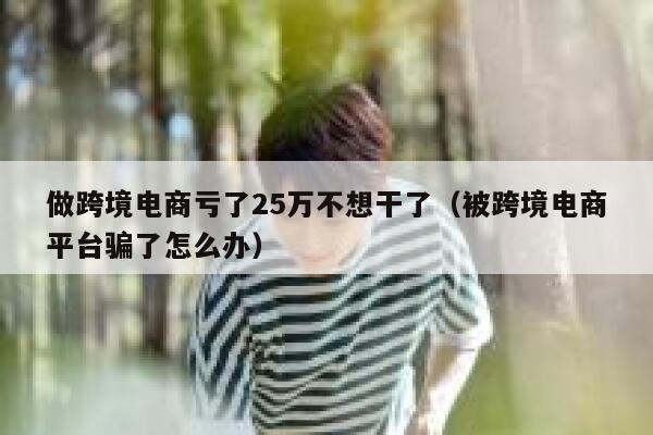 做跨境电商亏了25万不想干了(被跨境电商平台骗了怎么办) 第1张 做跨境电商亏了25万不想干了(被跨境电商平台骗了怎么办) 第1张