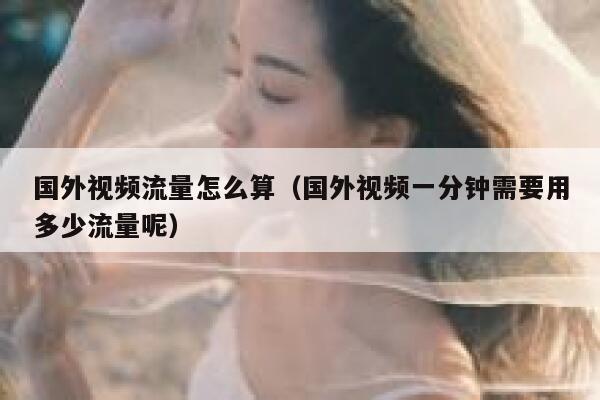 国外视频流量怎么算(国外视频一分钟需要用多少流量呢) 第1张 国外视频流量怎么算(国外视频一分钟需要用多少流量呢) 第1张