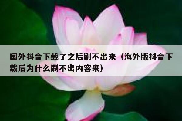 国外抖音下载了之后刷不出来(海外版抖音下载后为什么刷不出内容来) 第1张 国外抖音下载了之后刷不出来(海外版抖音下载后为什么刷不出内容来) 第1张