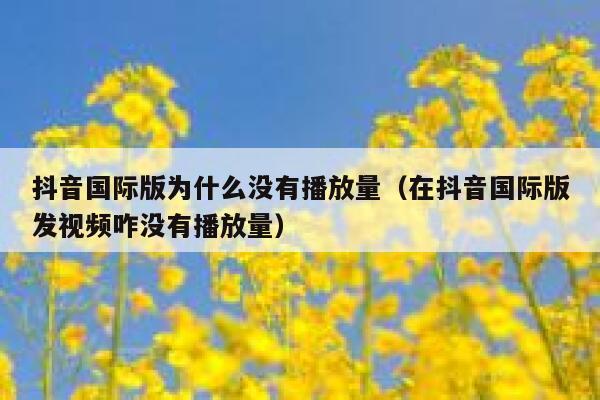 抖音国际版为什么没有播放量(在抖音国际版发视频咋没有播放量) 第1张 抖音国际版为什么没有播放量(在抖音国际版发视频咋没有播放量) 第1张