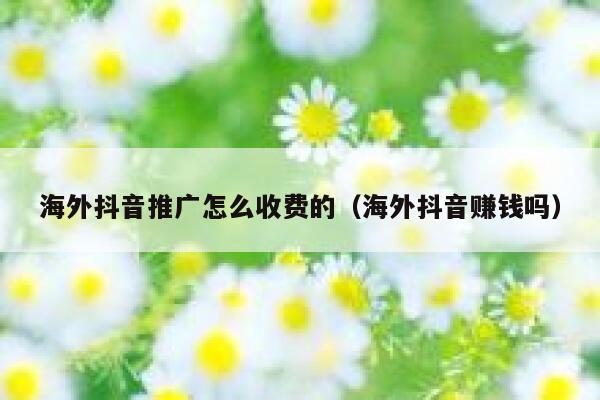 海外抖音推广怎么收费的(海外抖音赚钱吗) 第1张 海外抖音推广怎么收费的(海外抖音赚钱吗) 第1张
