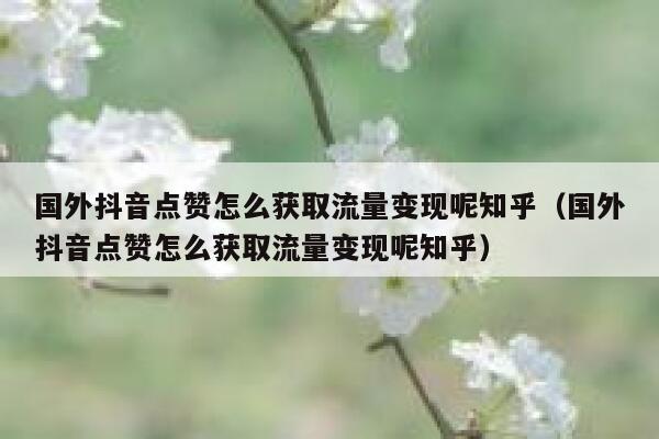 国外抖音点赞怎么获取流量变现呢知乎(国外抖音点赞怎么获取流量变现呢知乎) 第1张 国外抖音点赞怎么获取流量变现呢知乎(国外抖音点赞怎么获取流量变现呢知乎) 第1张