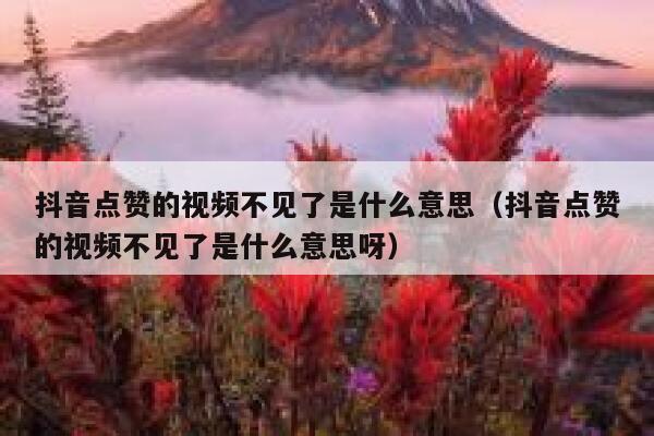抖音点赞的视频不见了是什么意思(抖音点赞的视频不见了是什么意思呀) 第1张 抖音点赞的视频不见了是什么意思(抖音点赞的视频不见了是什么意思呀) 第1张