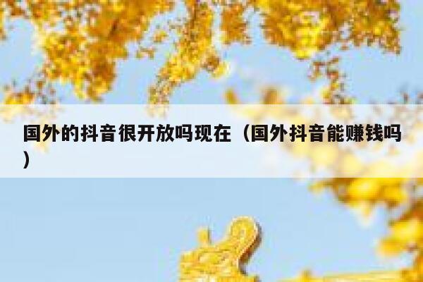 国外的抖音很开放吗现在(国外抖音能赚钱吗) 第1张 国外的抖音很开放吗现在(国外抖音能赚钱吗) 第1张