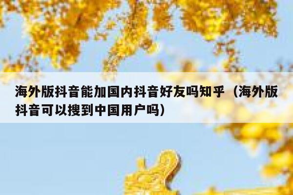 海外版抖音能加国内抖音好友吗知乎(海外版抖音可以搜到中国用户吗) 第1张 海外版抖音能加国内抖音好友吗知乎(海外版抖音可以搜到中国用户吗) 第1张