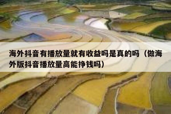 海外抖音有播放量就有收益吗是真的吗(做海外版抖音播放量高能挣钱吗) 第1张 海外抖音有播放量就有收益吗是真的吗(做海外版抖音播放量高能挣钱吗) 第1张