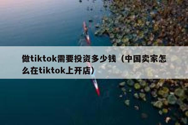 做tiktok需要投资多少钱(中国卖家怎么在tiktok上开店) 第1张 做tiktok需要投资多少钱(中国卖家怎么在tiktok上开店) 第1张