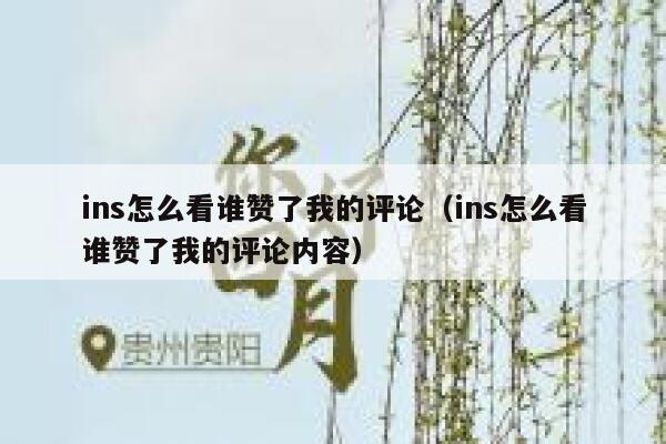 ins怎么看谁赞了我的评论(ins怎么看谁赞了我的评论内容) 第1张 ins怎么看谁赞了我的评论(ins怎么看谁赞了我的评论内容) 第1张
