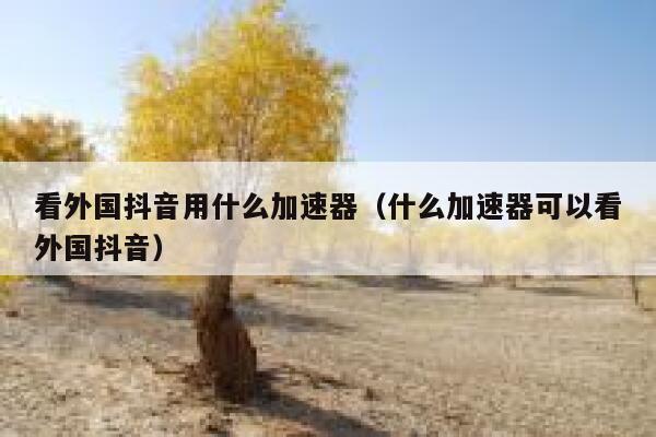 看外国抖音用什么加速器(什么加速器可以看外国抖音) 第1张 看外国抖音用什么加速器(什么加速器可以看外国抖音) 第1张