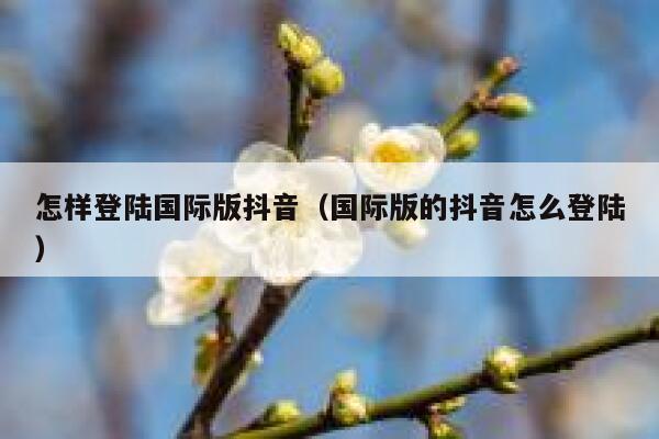 怎样登陆国际版抖音(国际版的抖音怎么登陆) 第1张 怎样登陆国际版抖音(国际版的抖音怎么登陆) 第1张