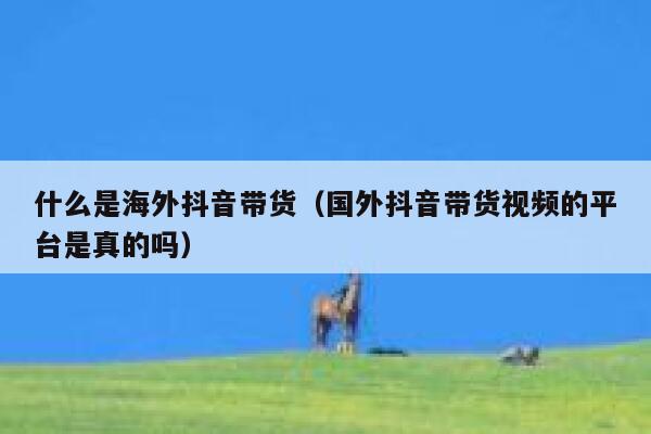 什么是海外抖音带货(国外抖音带货视频的平台是真的吗) 第1张 什么是海外抖音带货(国外抖音带货视频的平台是真的吗) 第1张