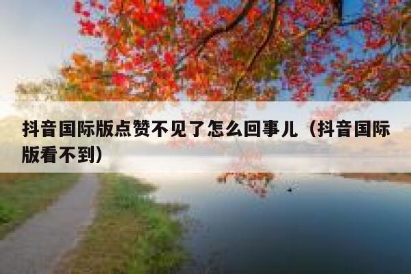 抖音国际版点赞不见了怎么回事儿(抖音国际版看不到) 第1张 抖音国际版点赞不见了怎么回事儿(抖音国际版看不到) 第1张