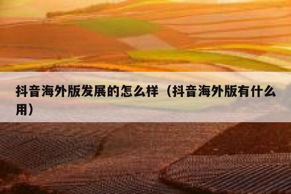 抖音海外版发展的怎么样(抖音海外版有什么用) 第1张 抖音海外版发展的怎么样(抖音海外版有什么用) 第1张