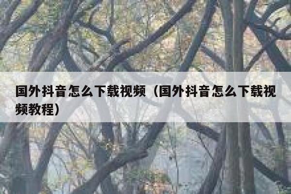 国外抖音怎么下载视频(国外抖音怎么下载视频教程) 第1张 国外抖音怎么下载视频(国外抖音怎么下载视频教程) 第1张