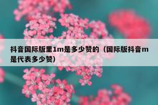 抖音国际版里1m是多少赞的(国际版抖音m是代表多少赞) 第1张 抖音国际版里1m是多少赞的(国际版抖音m是代表多少赞) 第1张
