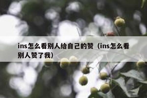ins怎么看别人给自己的赞(ins怎么看别人赞了我) 第1张 ins怎么看别人给自己的赞(ins怎么看别人赞了我) 第1张