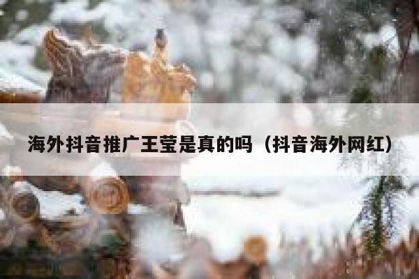 海外抖音推广王莹是真的吗(抖音海外网红) 第1张 海外抖音推广王莹是真的吗(抖音海外网红) 第1张