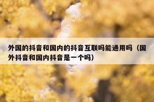 外国的抖音和国内的抖音互联吗能通用吗(国外抖音和国内抖音是一个吗) 第1张 外国的抖音和国内的抖音互联吗能通用吗(国外抖音和国内抖音是一个吗) 第1张