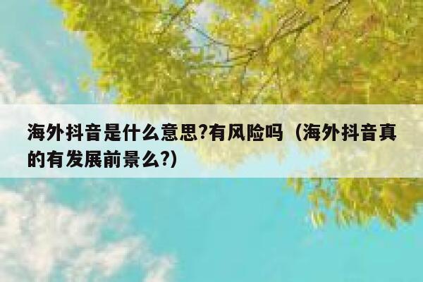 海外抖音是什么意思?有风险吗(海外抖音真的有发展前景么?) 第1张 海外抖音是什么意思?有风险吗(海外抖音真的有发展前景么?) 第1张