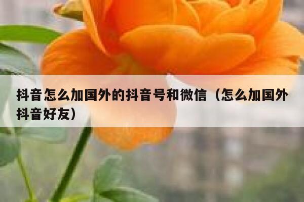 抖音怎么加国外的抖音号和微信(怎么加国外抖音好友) 第1张 抖音怎么加国外的抖音号和微信(怎么加国外抖音好友) 第1张