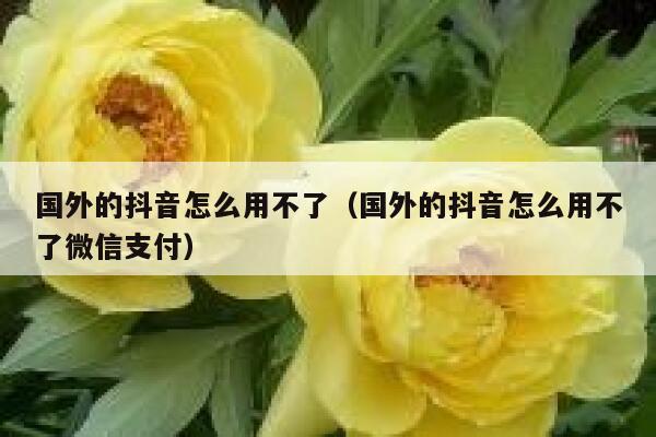国外的抖音怎么用不了(国外的抖音怎么用不了微信支付) 第1张 国外的抖音怎么用不了(国外的抖音怎么用不了微信支付) 第1张