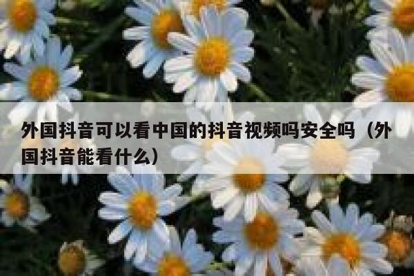 外国抖音可以看中国的抖音视频吗安全吗(外国抖音能看什么) 第1张 外国抖音可以看中国的抖音视频吗安全吗(外国抖音能看什么) 第1张