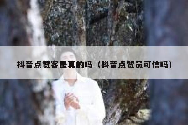 抖音点赞客是真的吗(抖音点赞员可信吗) 第1张 抖音点赞客是真的吗(抖音点赞员可信吗) 第1张