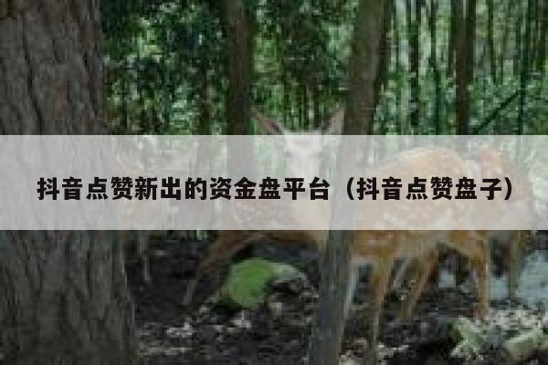 抖音点赞新出的资金盘平台(抖音点赞盘子) 第1张 抖音点赞新出的资金盘平台(抖音点赞盘子) 第1张