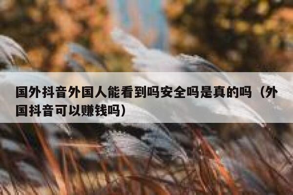 国外抖音外国人能看到吗安全吗是真的吗(外国抖音可以赚钱吗) 第1张 国外抖音外国人能看到吗安全吗是真的吗(外国抖音可以赚钱吗) 第1张
