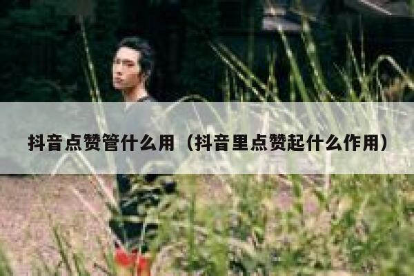 抖音点赞管什么用(抖音里点赞起什么作用) 第1张 抖音点赞管什么用(抖音里点赞起什么作用) 第1张