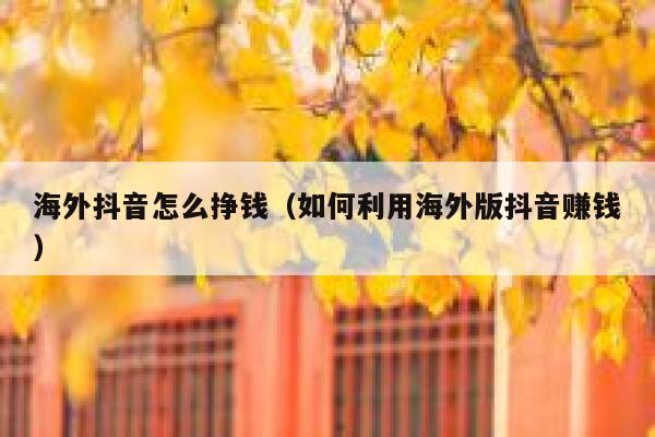 海外抖音怎么挣钱(如何利用海外版抖音赚钱) 第1张 海外抖音怎么挣钱(如何利用海外版抖音赚钱) 第1张
