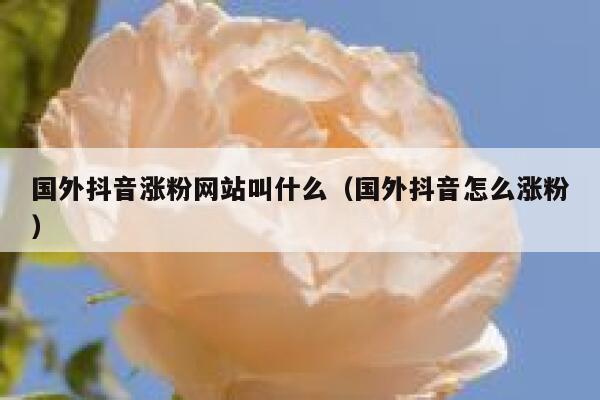 国外抖音涨粉网站叫什么(国外抖音怎么涨粉) 第1张 国外抖音涨粉网站叫什么(国外抖音怎么涨粉) 第1张