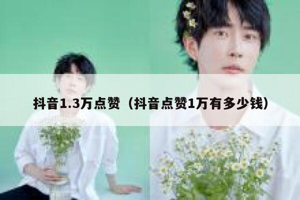 抖音1.3万点赞(抖音点赞1万有多少钱) 第1张 抖音1.3万点赞(抖音点赞1万有多少钱) 第1张