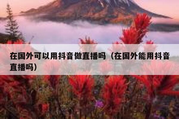 在国外可以用抖音做直播吗(在国外能用抖音直播吗) 第1张 在国外可以用抖音做直播吗(在国外能用抖音直播吗) 第1张