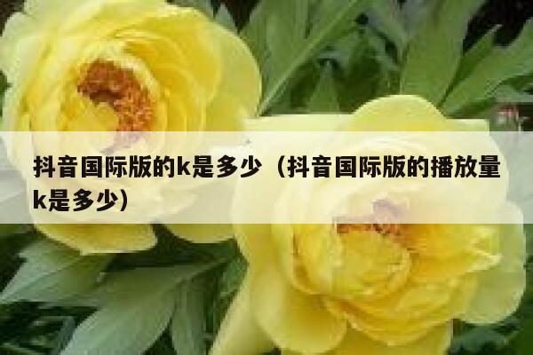 抖音国际版的k是多少(抖音国际版的播放量k是多少) 第1张 抖音国际版的k是多少(抖音国际版的播放量k是多少) 第1张