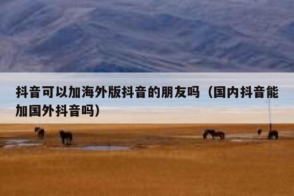 抖音可以加海外版抖音的朋友吗(国内抖音能加国外抖音吗) 第1张 抖音可以加海外版抖音的朋友吗(国内抖音能加国外抖音吗) 第1张