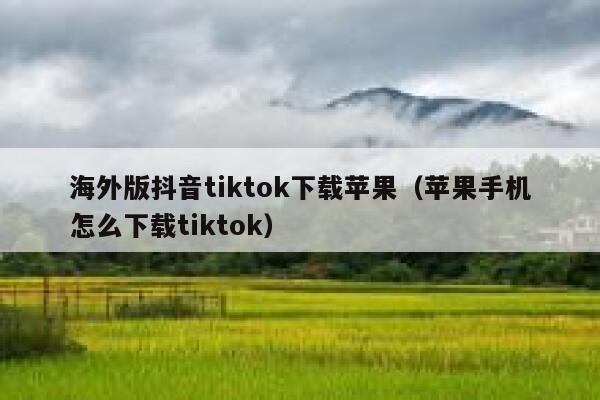 海外版抖音tiktok下载苹果(苹果手机怎么下载tiktok) 第1张 海外版抖音tiktok下载苹果(苹果手机怎么下载tiktok) 第1张