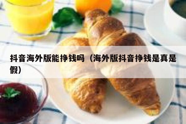 抖音海外版能挣钱吗(海外版抖音挣钱是真是假) 第1张 抖音海外版能挣钱吗(海外版抖音挣钱是真是假) 第1张