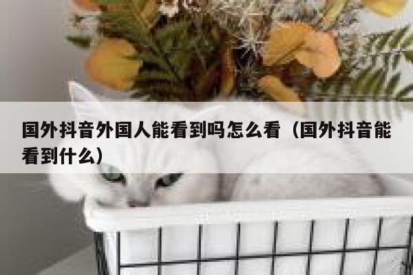 国外抖音外国人能看到吗怎么看(国外抖音能看到什么) 第1张 国外抖音外国人能看到吗怎么看(国外抖音能看到什么) 第1张