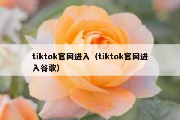 tiktok官网进入(tiktok官网进入谷歌) 第1张 tiktok官网进入(tiktok官网进入谷歌) 第1张