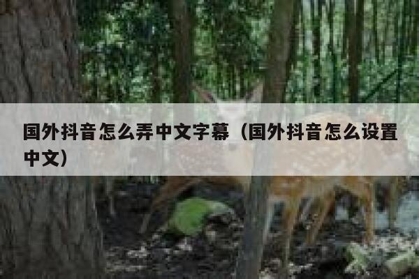 国外抖音怎么弄中文字幕(国外抖音怎么设置中文) 第1张 国外抖音怎么弄中文字幕(国外抖音怎么设置中文) 第1张